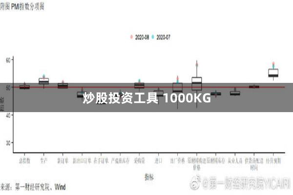 炒股投资工具 1000KG