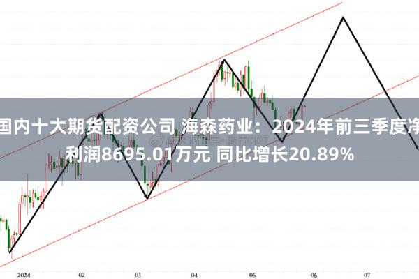 国内十大期货配资公司 海森药业：2024年前三季度净利润8695.01万元 同比增长20.89%