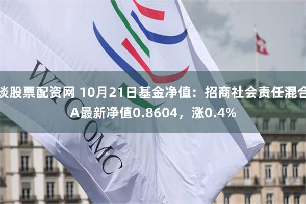 谈股票配资网 10月21日基金净值：招商社会责任混合A最新净值0.8604，涨0.4%