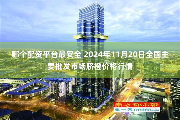 哪个配资平台最安全 2024年11月20日全国主要批发市场脐橙价格行情